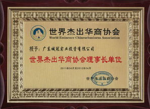 廣東城冠實業投資集團圖冊——精準投資咨詢，引領價值創造